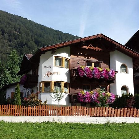Ferienhaus Ahorn Neustift im Stubaital Zewnętrze zdjęcie
